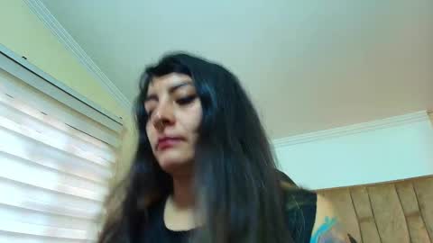 Kitten online show from March 2026 11:39:02 AM