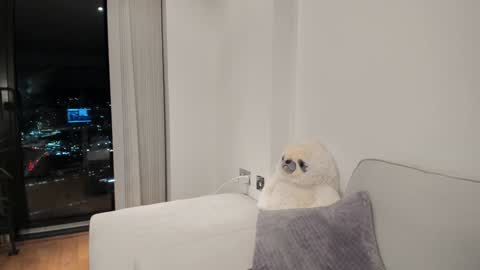 Gigi Chu  online show from January 2025 06:16:02 PM