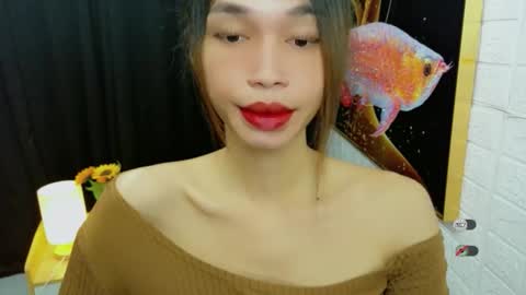 Celine online show from September 2025 11:59:01 PM