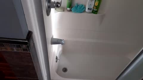 Snapshot of needsub chatting on November 2025 09:50:01 PM needsub online show from November 2025 09:50:01 PM