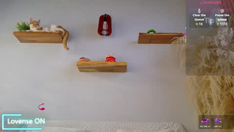 Snapshot of neo_dimou chatting on May 2026 12:01:02 PM Jordan online show from May 2026 12:01:02 PM