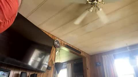 neversaynevrrr online show from November 2025 05:37:01 PM