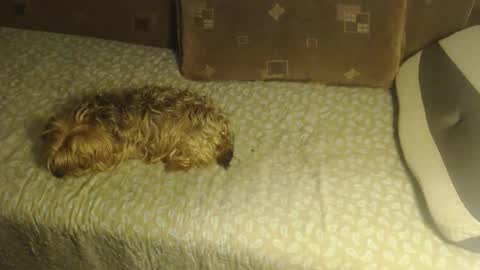 Lilly  online show from October 2025 02:45:01 AM