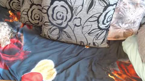 Lilly  online show from April 2026 04:46:01 AM