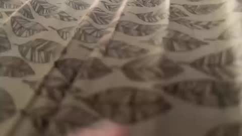 Meow Meow online show from October 2025 08:57:02 AM