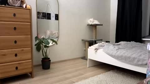 Nova online show from November 2025 04:18:02 PM