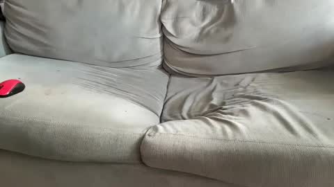 NH online show from December 2024 11:51:02 AM