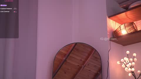 Dani 3 online show from January 2025 09:25:02 PM