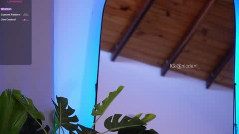 Dani 3 online show from January 2025 09:13:01 PM