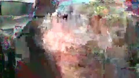 Snapshot of nicholaastavrou1977066464511s chatting on February 2026 04:41:01 AM nick stavrou online show from February 2026 04:41:01 AM