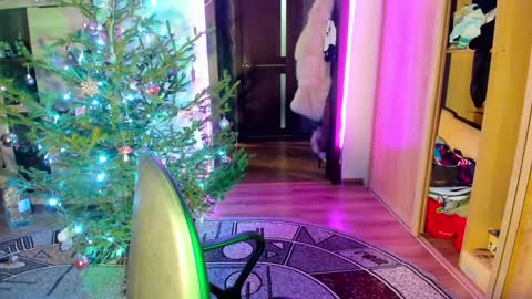 Nicky Weekends online show from January 2025 12:00:01 AM