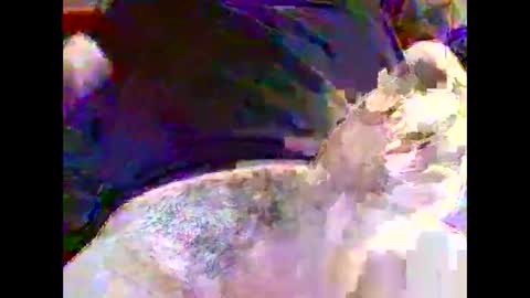 Nickyfruit online show from October 2025 09:22:01 AM