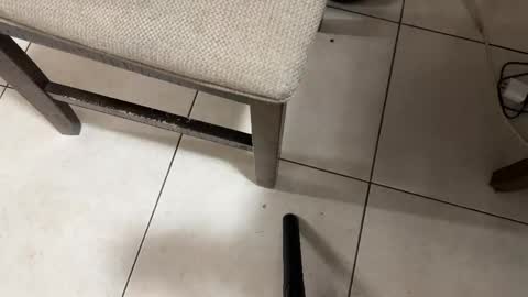 Carlos Nico online show from February 2026 08:26:01 AM