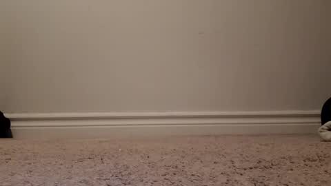 Snapshot of nicoleandbrian chatting on December 2024 09:06:02 PM nicoleandbrian online show from December 2024 09:06:02 PM