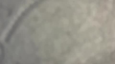 Nicoll  Independent model online show from April 2026 08:43:01 AM