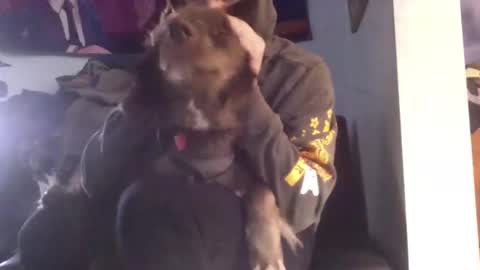 NicxDick online show from January 2025 05:16:02 PM