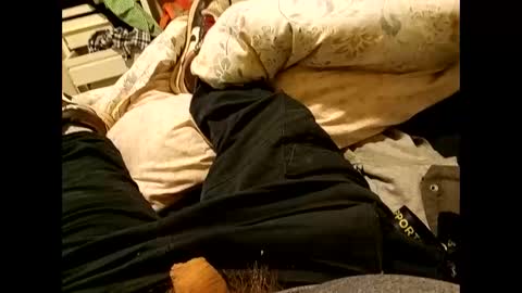 nigel1277 online show from September 2025 08:36:02 AM