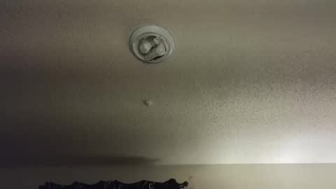 Nikki Mastersgirl1091 online show from December 2025 02:15:01 PM