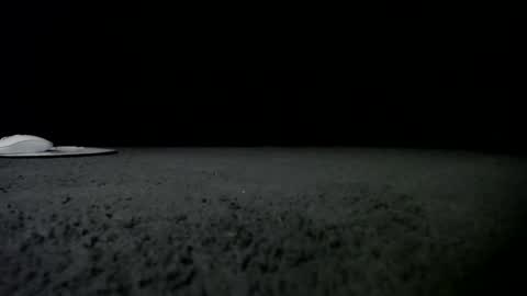 Snapshot of nikkkibabyyyy chatting on January 2025 09:49:02 AM Niquita Sparkles online show from January 2025 09:49:02 AM