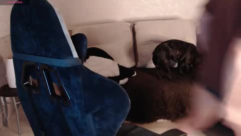 Nikolos online show from January 2025 09:28:01 PM