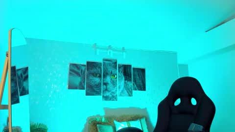 Nils online show from February 2026 06:48:02 AM