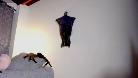 Catalina online show from October 2025 11:05:01 PM