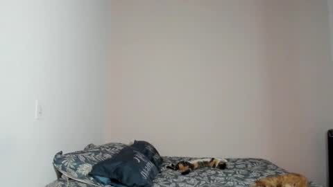  Nina  online show from November 2025 08:41:02 PM