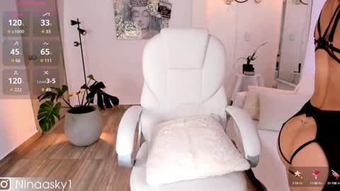 Snapshot of ninaa_sky chatting on December 2024 12:44:02 PM    online show from December 2024 12:44:02 PM