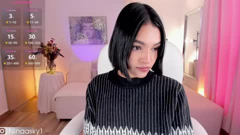 Snapshot of ninaa_sky chatting on January 2025 01:53:01 PM    online show from January 2025 01:53:01 PM
