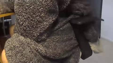 nineinchhard online show from December 2024 09:28:01 AM