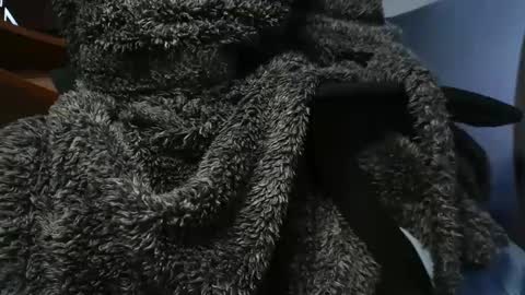 nineinchhard online show from January 2025 11:06:01 AM