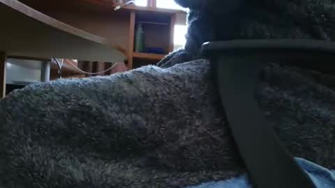 nineinchhard online show from March 2025 10:20:02 AM