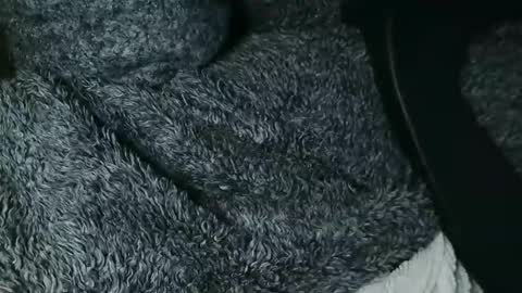 nineinchhard online show from November 2025 12:19:02 PM