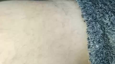 nineinchhard online show from March 2026 10:55:02 AM