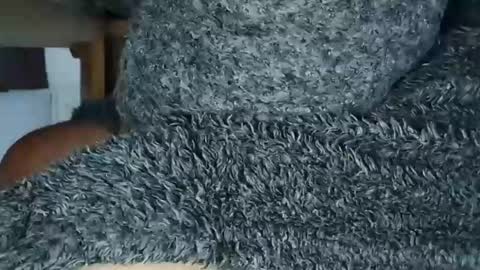 nineinchhard online show from May 2026 09:37:01 AM