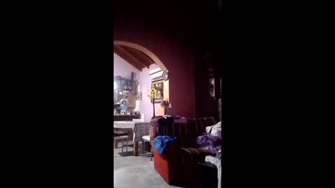 niyo_emmanuel123 online show from February 2026 03:58:01 AM