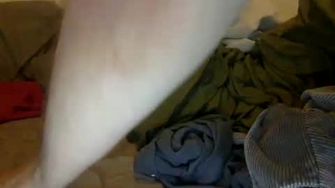 Noah Warren online show from September 2025 01:16:02 PM