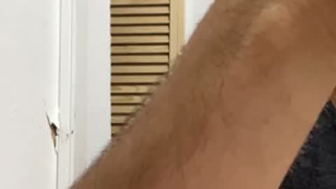 Noah online show from March 2026 06:25:01 AM