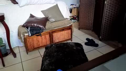 nobudget06 online show from February 2025 11:00:02 PM