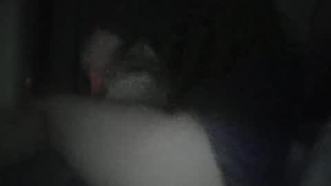 nofacenocase69_69 online show from May 2026 07:16:01 AM