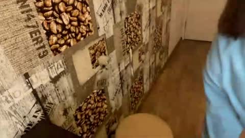 Snapshot of nohemibaerman chatting on March 2026 01:03:02 PM Abri online show from March 2026 01:03:02 PM