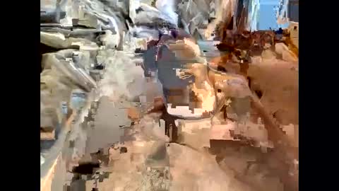 Snapshot of nolplus chatting on March 2025 07:19:01 AM nolplus online show from March 2025 07:19:01 AM