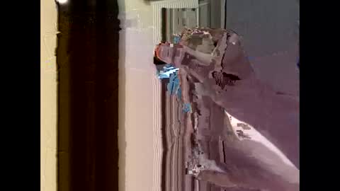 Snapshot of nolplus chatting on September 2025 04:36:02 AM nolplus online show from September 2025 04:36:02 AM