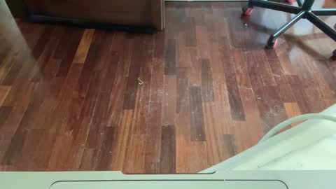 Archangel online show from April 2026 01:52:02 PM