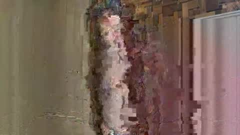 Snapshot of noodsovernudes chatting on May 2026 02:46:01 PM NoodsOverNudes online show from May 2026 02:46:01 PM