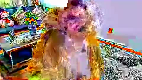 Snapshot of noraj66 chatting on March 2026 01:59:02 PM noraj66 online show from March 2026 01:59:02 PM