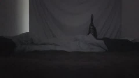 Snapshot of norty450 chatting on February 2026 03:21:02 AM norty450 online show from February 2026 03:21:02 AM