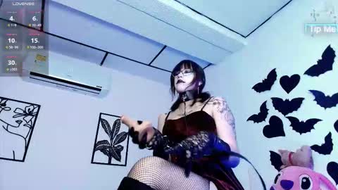 Snapshot of notre_dame1 chatting on March 2026 12:13:01 PM Notre online show from March 2026 12:13:01 PM