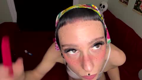 Nymphaea online show from October 2025 12:33:02 AM