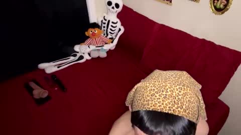 Nymphaea online show from February 2026 11:33:02 PM